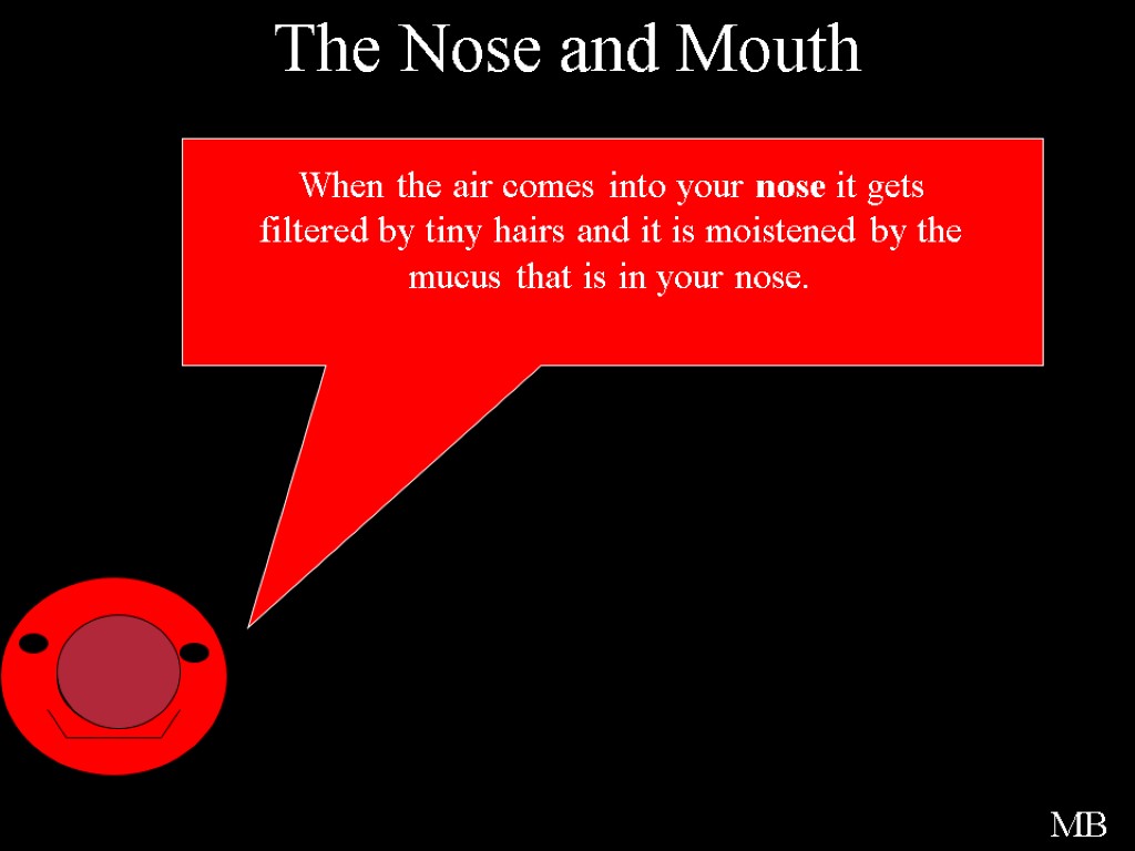 The Nose and Mouth When the air comes into your nose it gets filtered